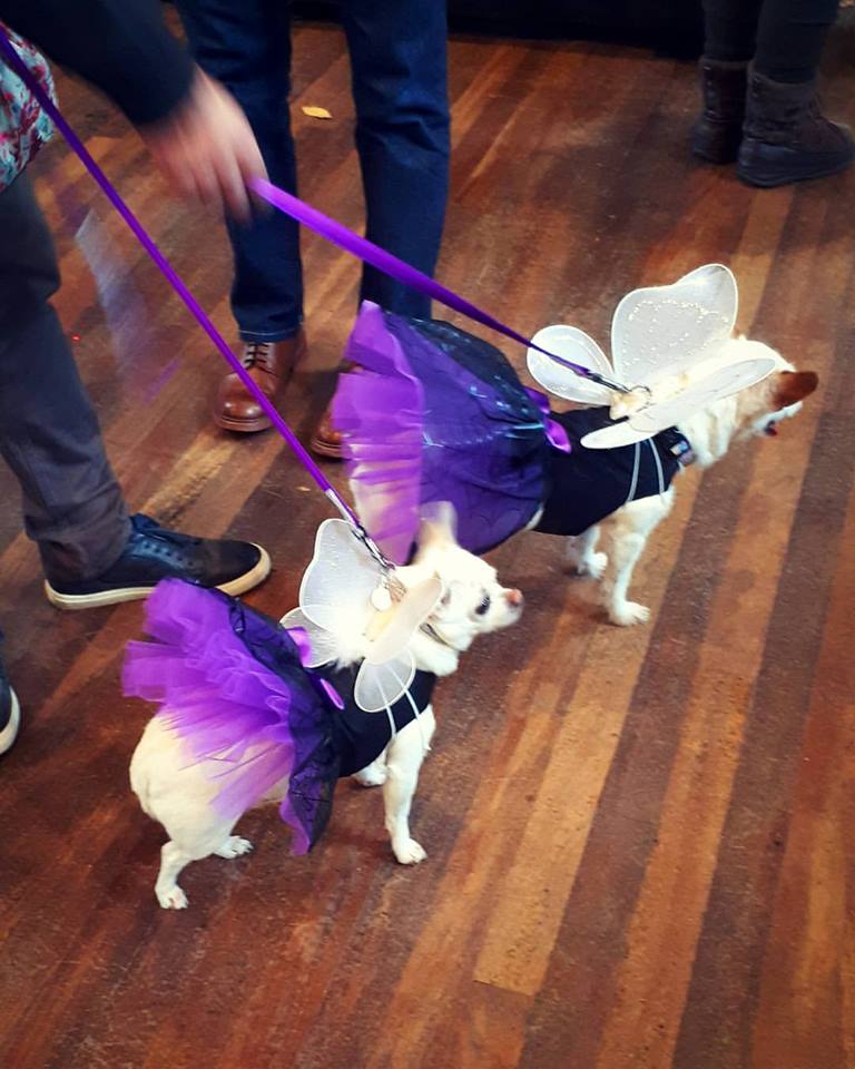 22552670_10211136896998799_5388464638342565517_n