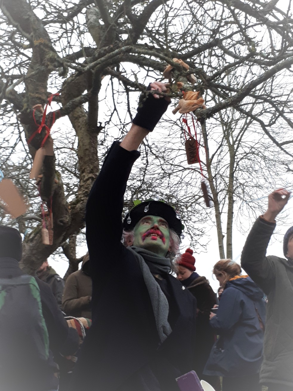 putting toast on tree